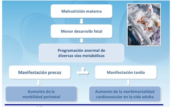 programacion-nutricional-16-1024