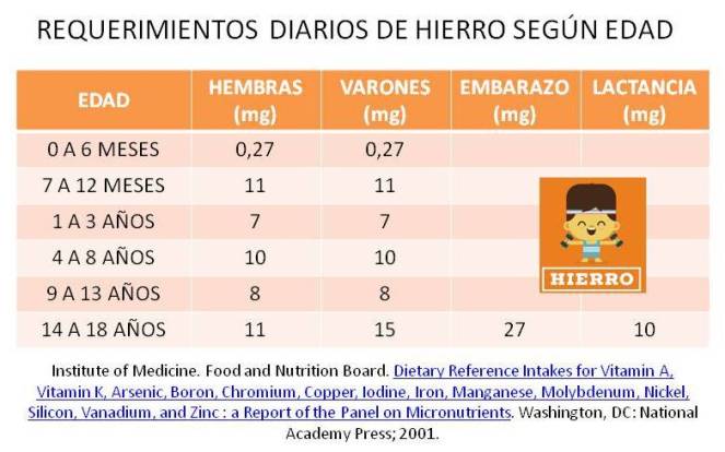 hierro-requerimientos