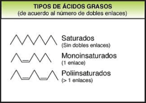 grasa tipos