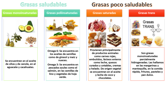 tipos de grasas