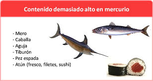 pescado mercurio