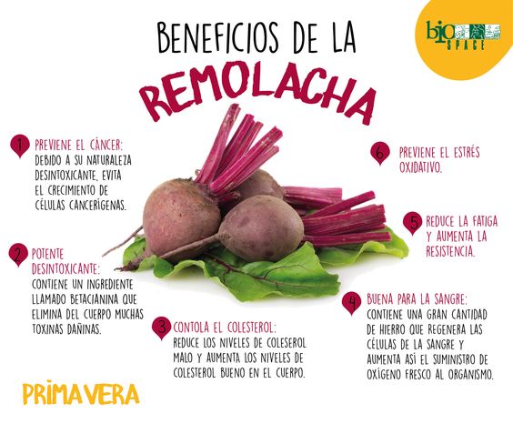 remolacha4
