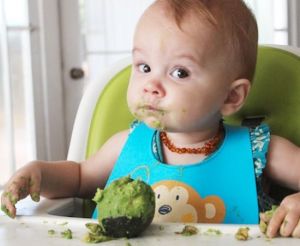 baby_aguacate.jpg_852475230