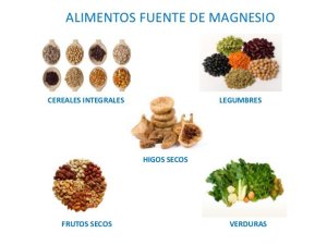 magnesio-fuentes