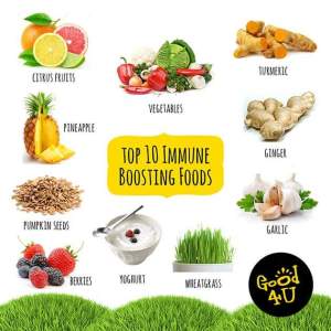 top-10-immune-boosting-foods