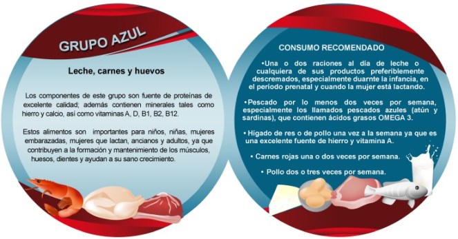 Azul_Leche, carnes y huevos