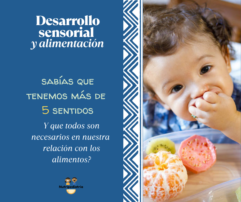 Desarrollo sensorial. 7 sentidos Alimentacion Infantil